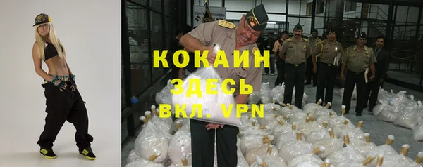 крисы Покровск