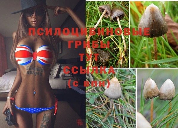 ECSTASY Балахна