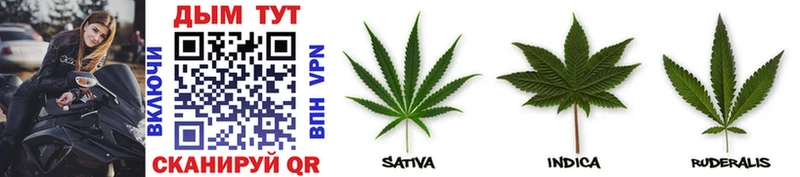 Шишки марихуана White Widow  Черемхово 